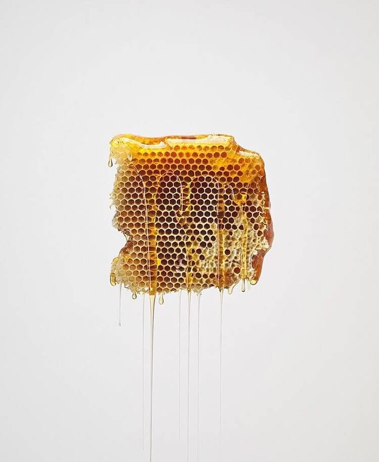 honey dripping off a honey comb