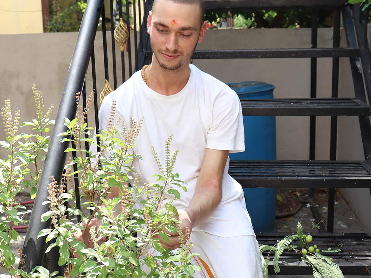 Dylan Smith next to a Tulsi plant