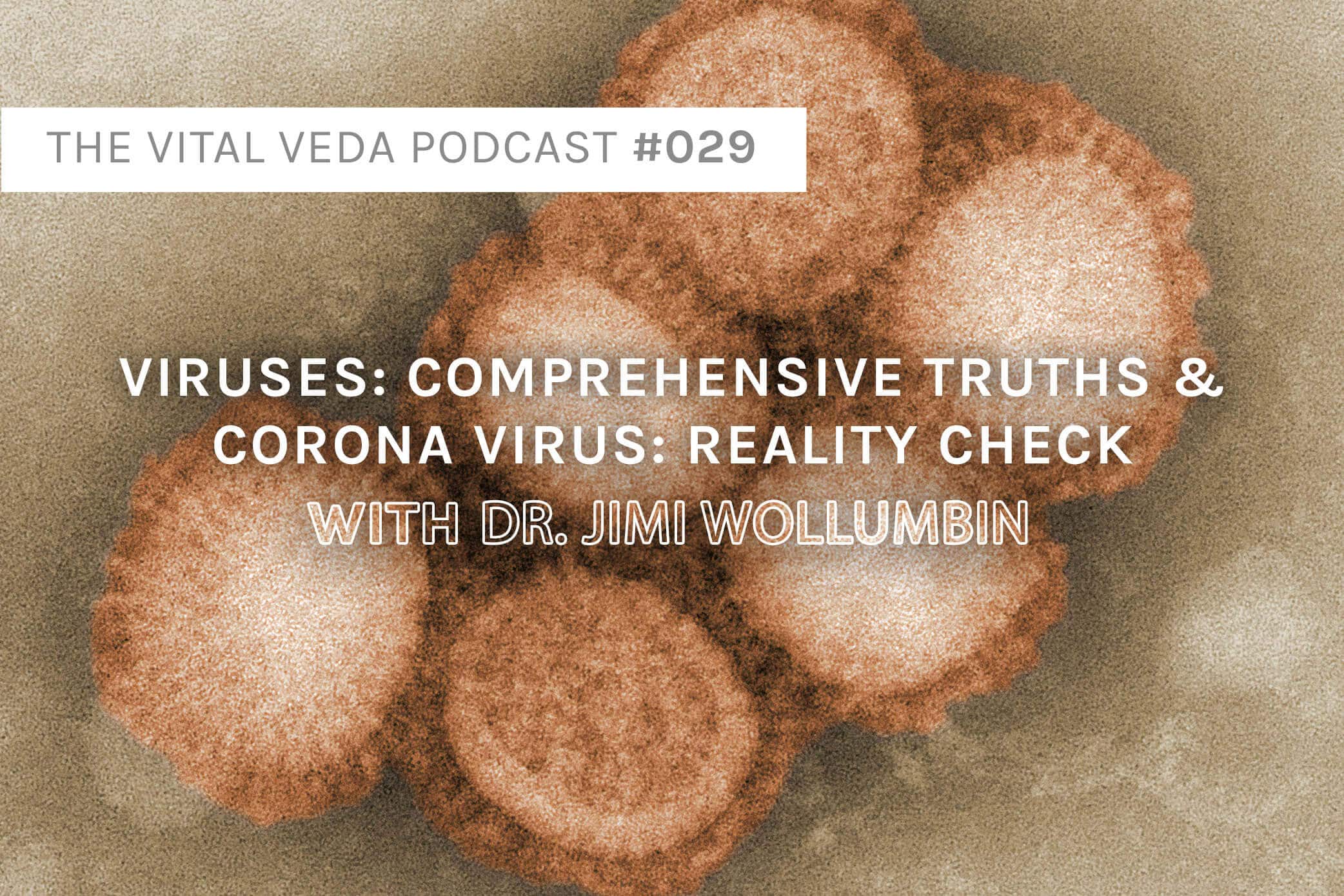 Vital Veda Podcast Banner - Dr. Jimi Wollumbin