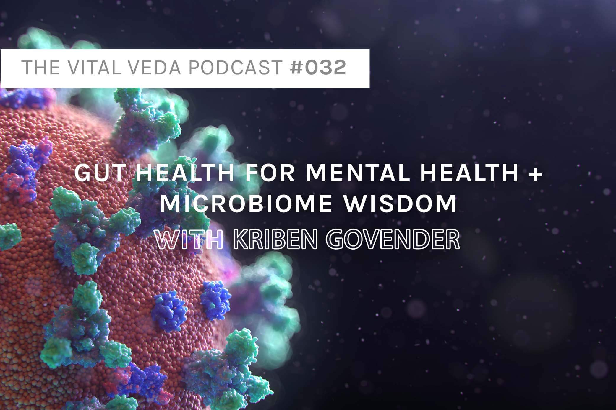 Vital Veda Podcast Banner: Mental health gut microbiome
