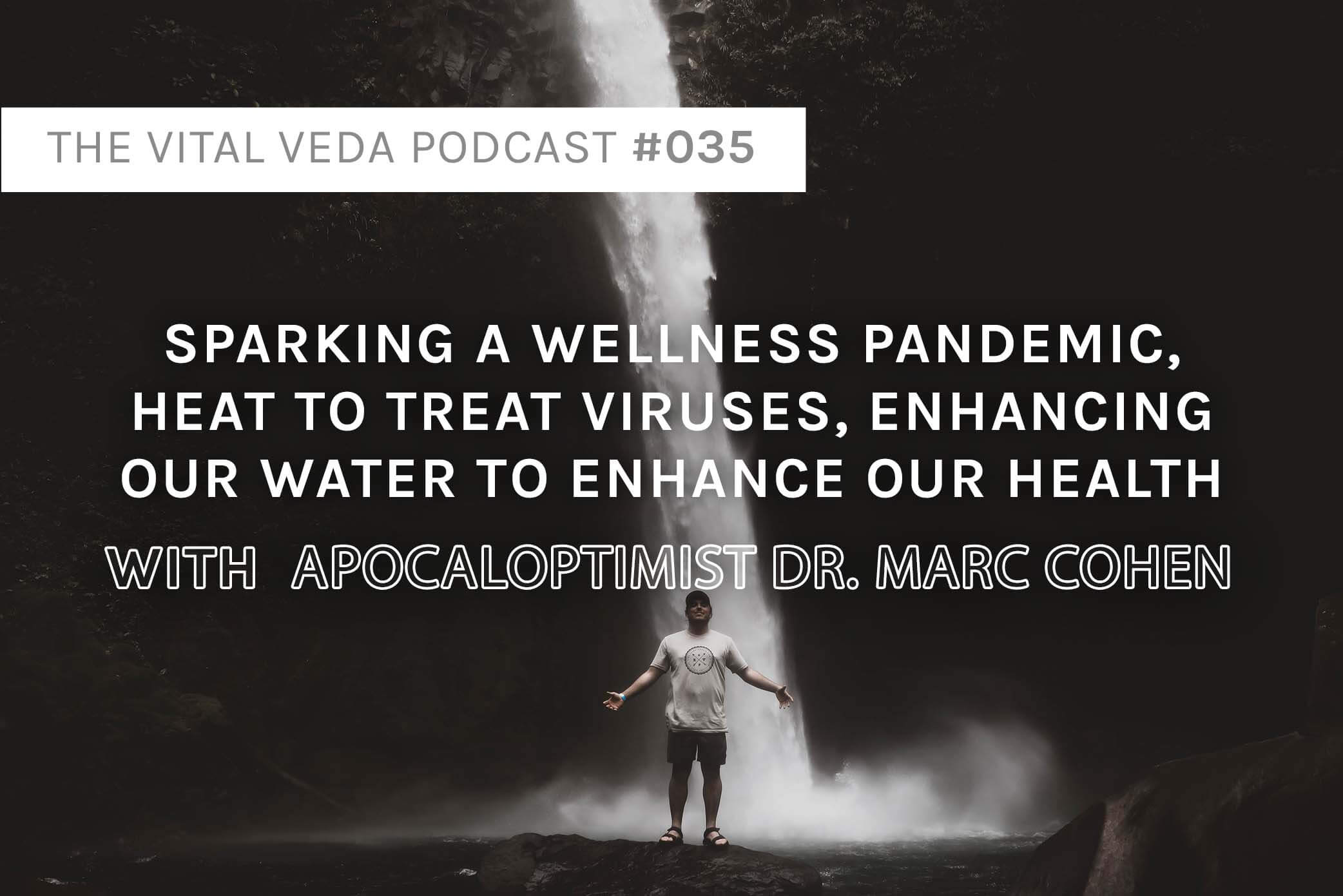 Vital Veda Podcast Banner: Marc Cohen on Holistic Wellness