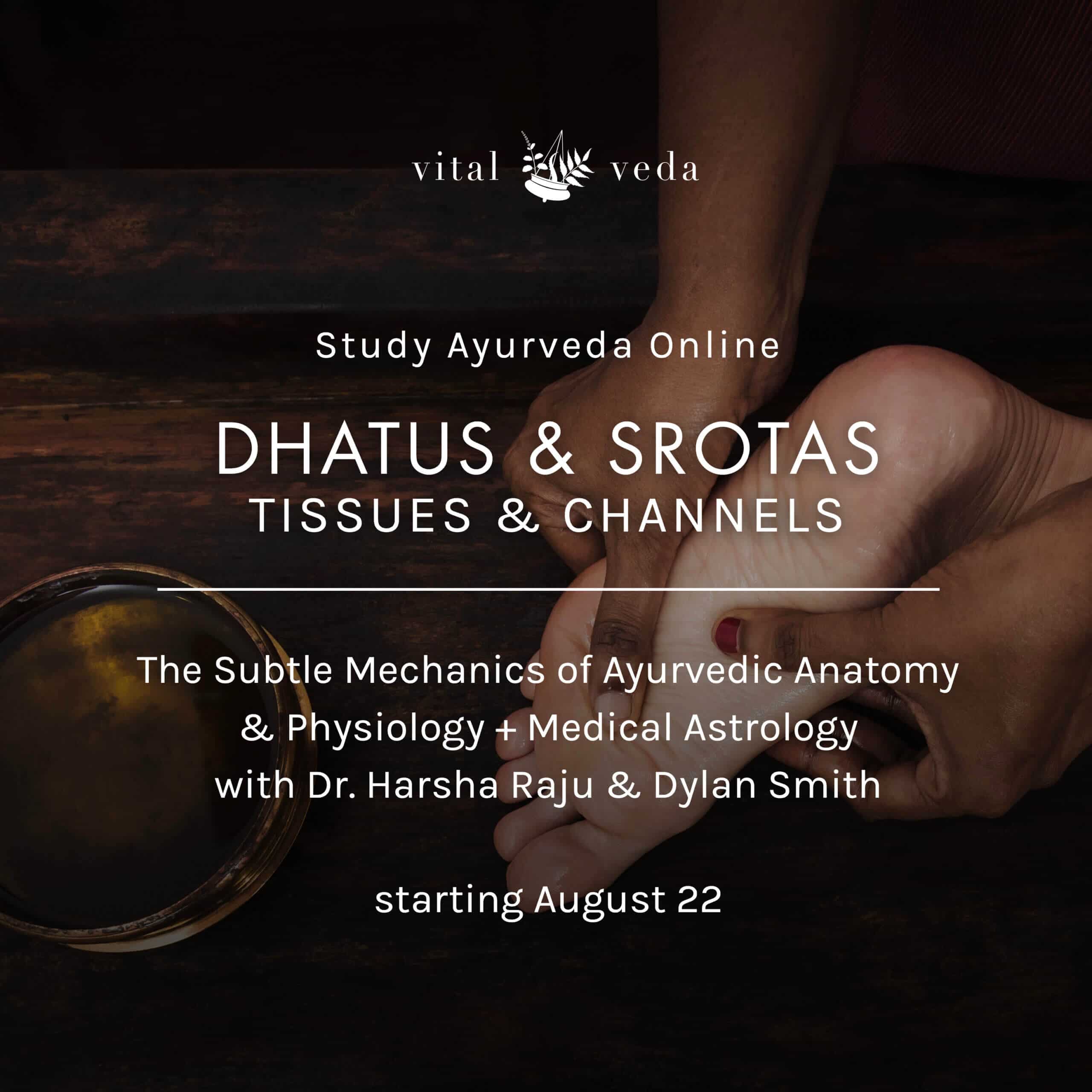 Veda Raju The Subtle Mechanics of Ayurvedic Physiology + Medical Astrology ...