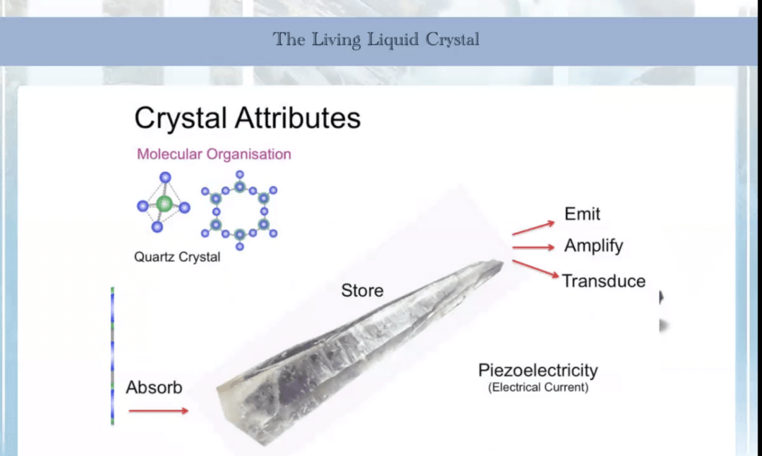 The Benefits, Magic, Mystery & Science of Water | Vital Veda Podcast