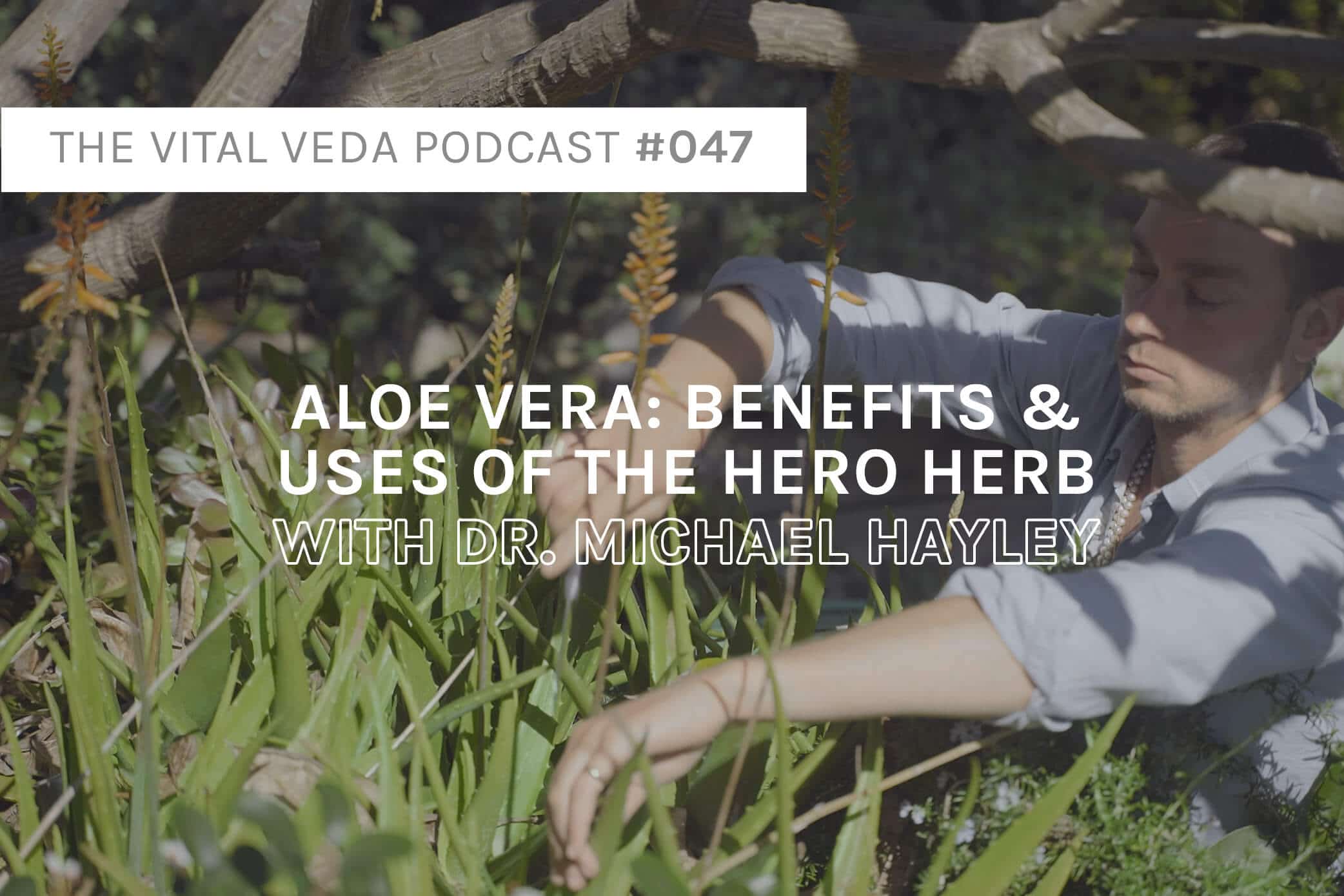 Vital Veda Podcast Banner: Aloe Vera uses & benefits