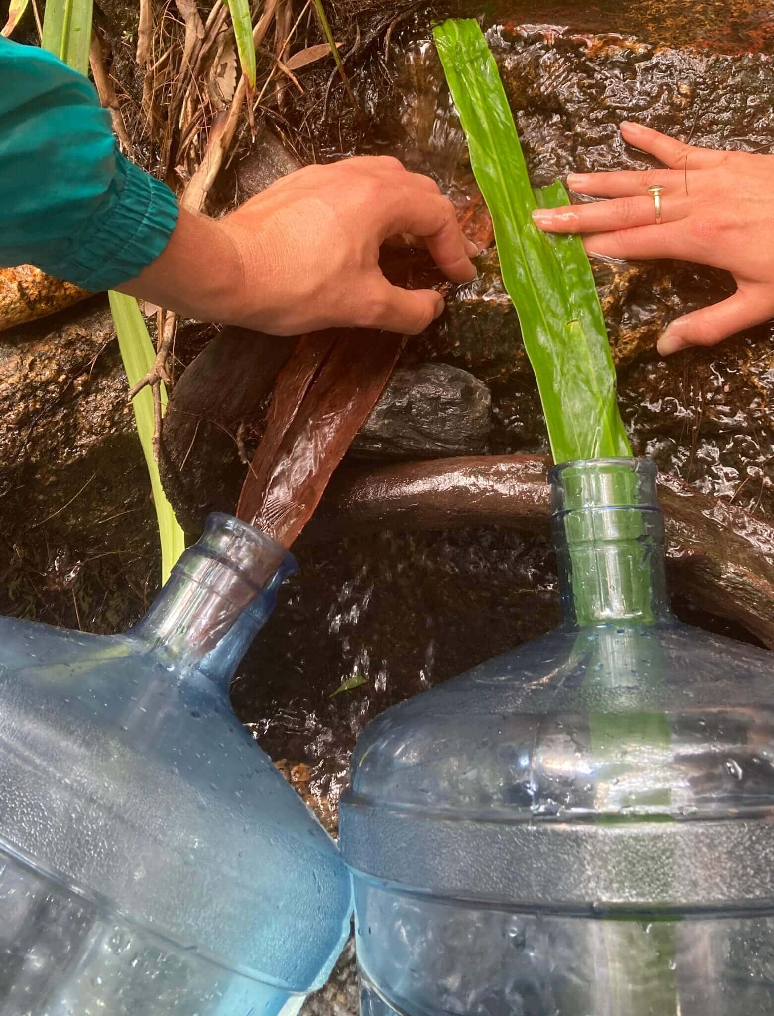 Collecting natural spring water in plastic containers