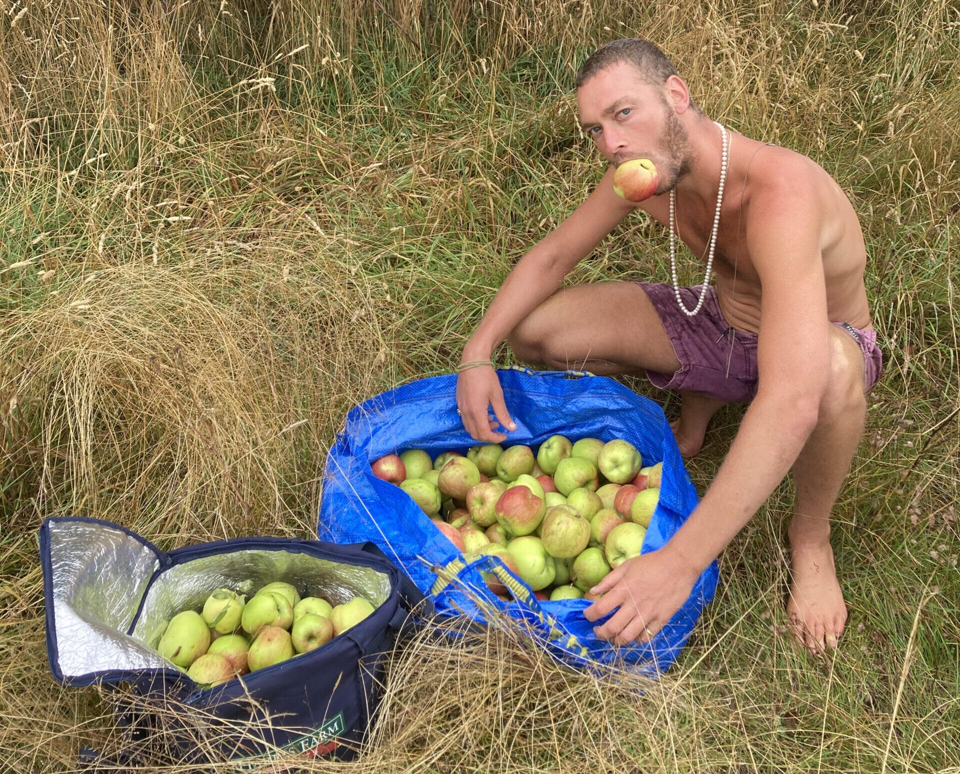 Dylan Smith, practitioner of Ayurveda, foraging apples