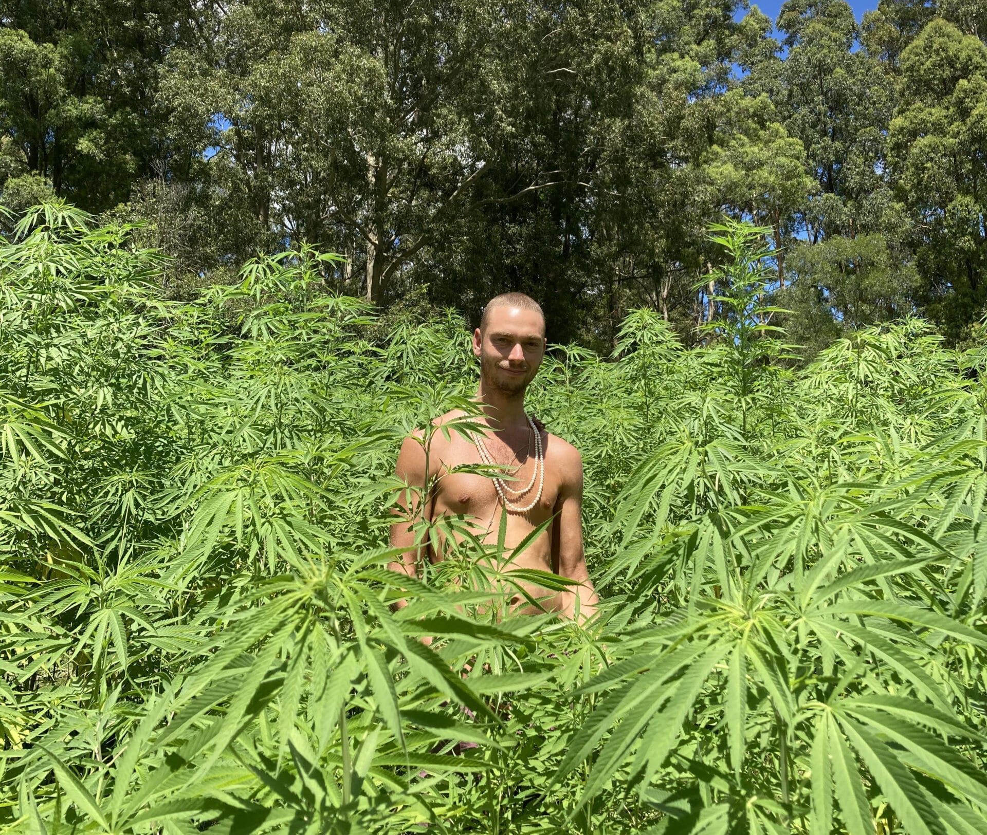 Dylan Smith surrounded by Cannabis Plants