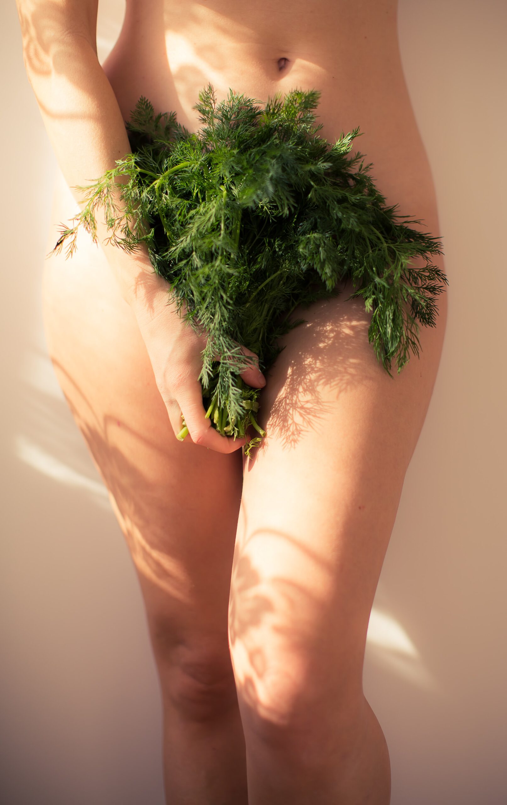 Lowe half of a female body with the vagina covered by a plant