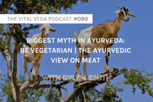 Vital Veda Podcast Banner