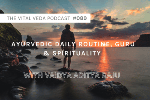 Vital Veda Podcast banner
