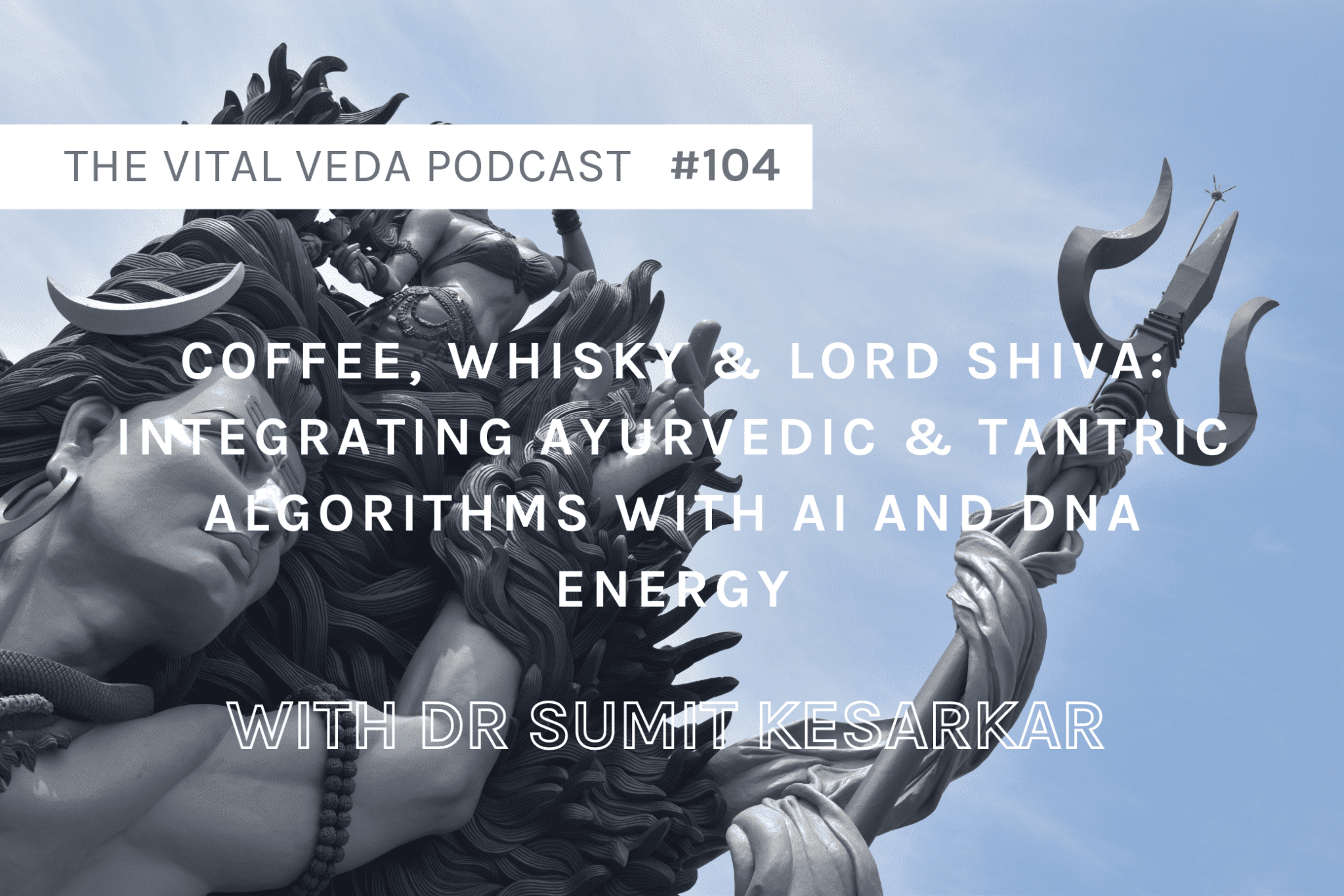 Vital Veda Podcast Banner: Dr Sumit Kesarkar