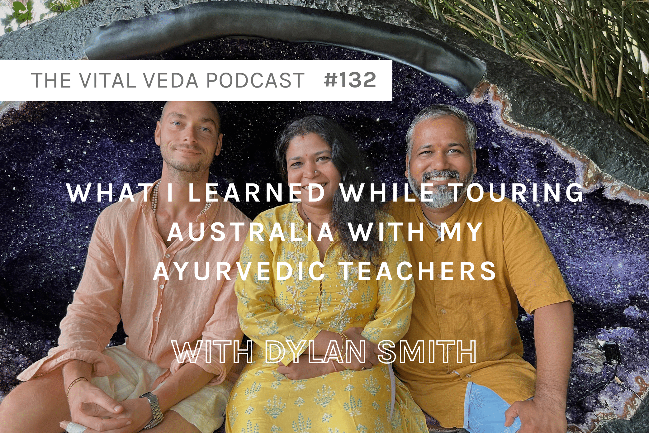 Vital Veda Podcast Banner - What I Learned While On Tour With Ayurvedic Doctors