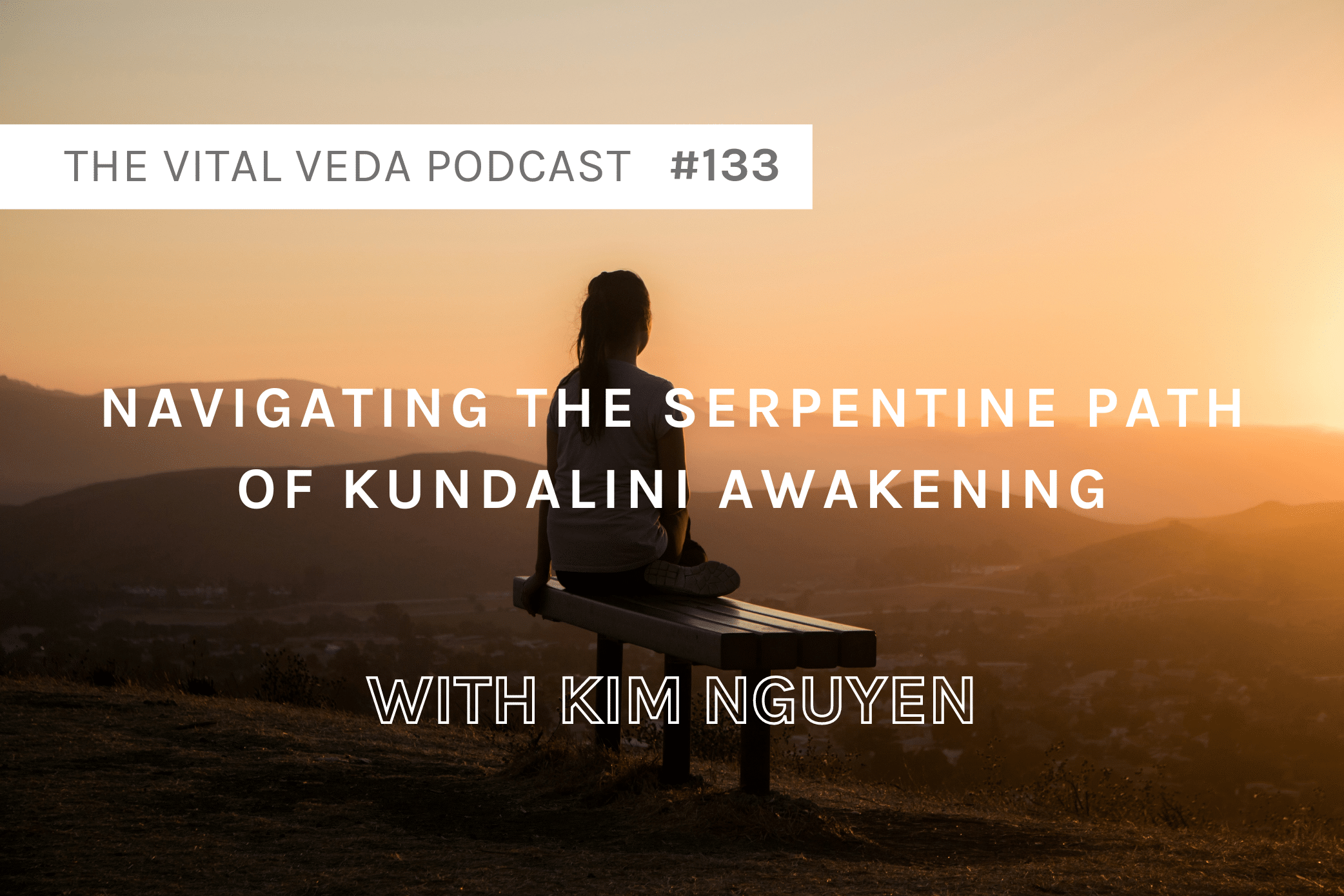 Vital Veda Podcast Banner - Kim Nguyen